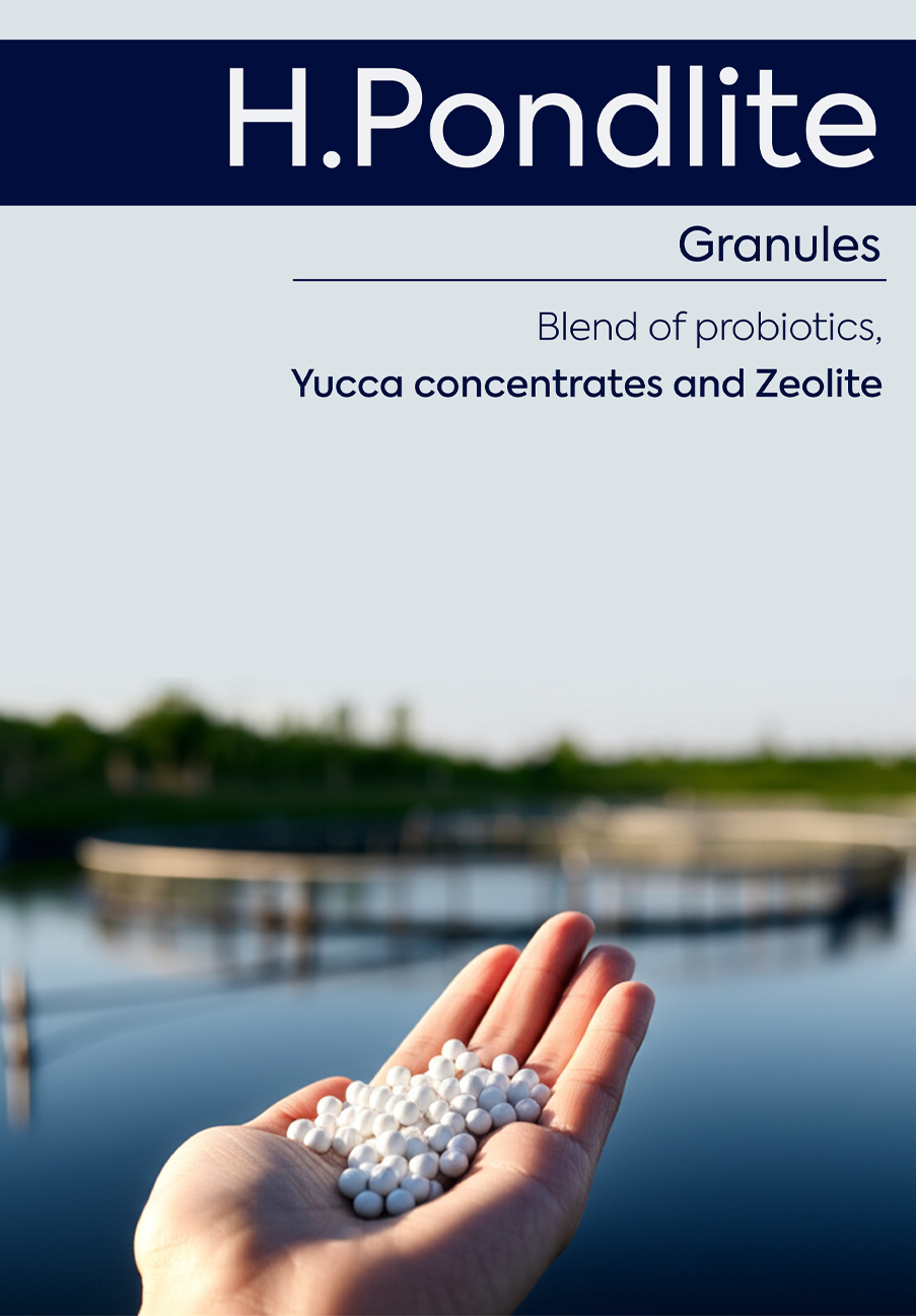 H.Pondlite Granules